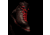 Zamberlan Solden Gtx Boots - Mens