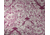 Zan Headgear Bandanna, Dragonfly Paisley B144