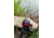 Lew's Speed Stick Spinning Rod, 7ft 6in, 1-PC, Medium-Light, Fast, LSS76MLFS