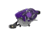 Zebco Roam Baitcast Reel and Rod Combo, 6ft 6in 2-PC Fiberglass Pole w/ Split-Grip MaxTac Handle, Lightweight Graphite Frame, RH Retrieve, Purple, ROAMPR100662MH.NS3