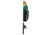 Zebco Splash Junior Boy 402 Sc Combo YSPLSCJBL.06.FB6