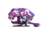 Zebco Splash Spincast Reel and Rod Combo, 6ft 1-PC Fiberglass Rod, Medium, Moderate, SZ 20 Reel, Ball Bearing System, All Metal Gears, Tidepool Purple, SPLTPPSC602M.NS4