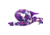 Zebco Splash Spincast Rod and Reel Combo