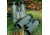 Zeiss Victory FL Binoculars Green Body