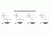 Available Reticles of Zeiss Victory Diarange 3-12x56 Rifle Scopes