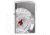 Zippo Armor Poker Chip Design Lighter w/ Click, Silver, One Size, 49058