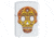 Zippo Sugar Skull Pocket Lighter, White Matte, 49003