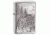 Zippo Timberwolves Classic Lighter, Brushed Chrome 20855