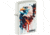 Zippo Painted Eagle Design Lighter, 2.25in, 46692