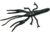 Zoom Big Critter Craw, 10 Pack, 5in, Black Emerald, 039136X