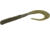 Zoom Big Dead Ringer Worm, 10 Pack, 8in, Green Pumpkin Blue, 021239X