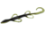 Zoom Lizard, 9 Pack, 6in, California 420, 2308