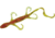 Zoom Lizard, 9 Pack, 6in, Grasshopper, 002155X