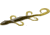 Zoom Mini Lizard, 15 Pack, 4in, Green Pumpkin, 5025