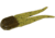 Zoom Pro Chunk Jig Trailer, 5 Pack, 3 1/2in, Green Pumpkin Blue, 048239X