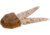 Zoom Small Chunk Jig Trailer, 5 Pack, 2.5in, Pumpkin, 027013X