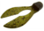 Zoom Super Chunk Jig Trailer, 5 Pack, 3.5in, Green Pumpkin Red, 037202X