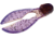 Zoom Super Chunk Jig Trailer, 5 Pack, 3.5in, PB &amp; J, 037225X