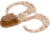 Zoom Swimmin Chunk Jig Trailer, 10 Pack, 3in, Pumpkin, 043013X