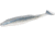 Zoom Swimmin Super Fluke Baitfish Imitator, 5 Pack, 5in, Pro Blue Red Pearl, 116355X