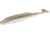 Zoom Swimmin' Super Fluke Swimbaits, 5, 5in, Tennessee Shad, 116357