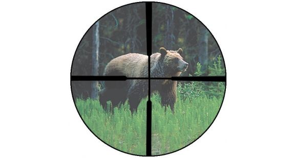 Image of Burris Handgun Scope, Plex Reticle, 1 5x-4xmm, Nickel 200214