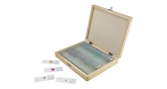 Image of Celestron 100 Piece Prepared Microscope Slides Set 44412