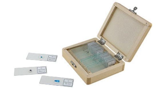 Image of Celestron 25 Piece Prepared Microscope Slides Set 44410