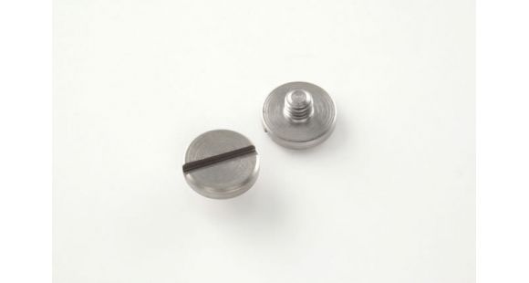 Image of Hogue P85-91 and P94 Screws 2 Slotted, Stainless Finish 85018