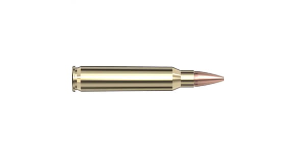 Image of Hornady Frontier .223 Remington 55 grain Hollow Point Brass Cased Centerfire Rifle Ammo, 500 Round