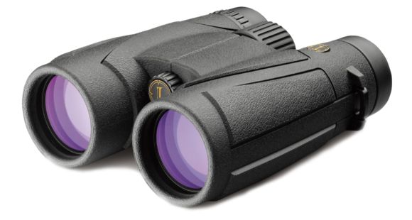 Image of Leupold BX-1 McKenzie Binocular, 10x42mm Black 119198