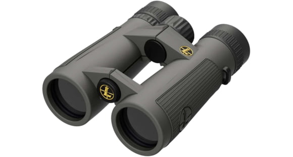 Image of Open Box, Dealer Demo, Leupold BX-5 Santiam HD 8x42mm Roof Prism Binoculars, Gray, 174481