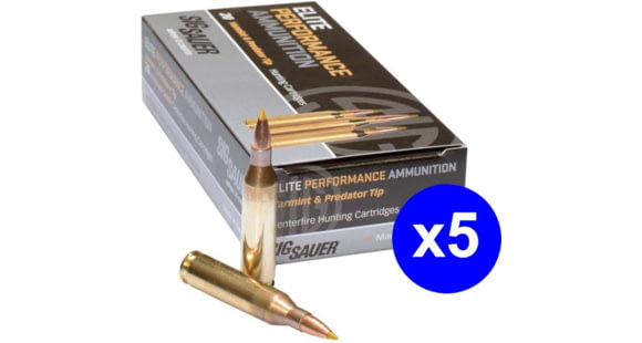 Image of SIG SAUER SIG Hunting Rifle Ammo .270 Winchester 140 grain Controlled Expansion Tip Brass Cased Centerfire Rifle Ammo