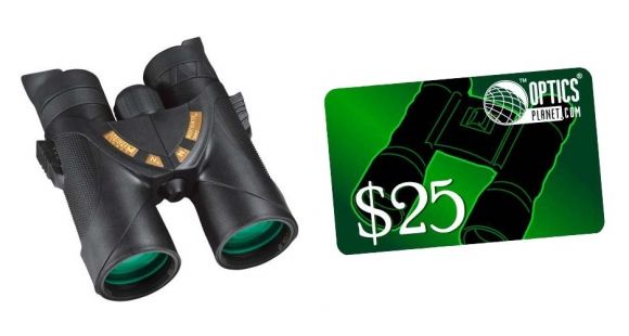 Image of Steiner 10x42 Night Hunter XP Roof Prism Hunting Binocular and FREE 25 OpticsPlanet Gift Certificate