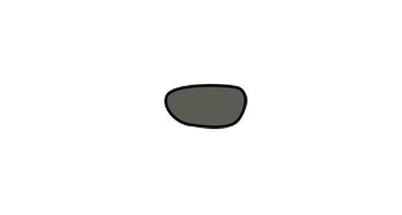 Image of Wiley X Flare Replacement Sunglasses Lens - Smoke Gray ACFLAS