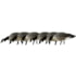 Avian X AXP Honker Sentry-Walker Decoy, Black, AVX-HONK-6PK