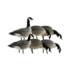 Avian X AXP Lesser Fusion Pack, Black, AVX-LESS-6PK
