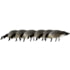 Avian X Feeder Pack APX Lessers Decoy, AVX-AVX9007