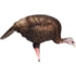 Dave Smith Decoys Feeding Hen Decoy, Black, FEH