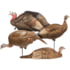 Dave Smith Decoys Turkey Flock, Black, TUF