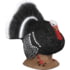 Delta McKenzie Strutter Turkey Target, Black, 51420