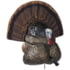 Flextone Thunder Creeper Decoy, Strutter, Brown, FLX-FLXDY316
