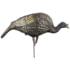 Higdon Outdoors Hard Body Feeder Hen Turkey Decoy, 63122