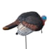 Higdon Outdoors Higdon Hard Body Breeding Jake Turkey Decoy, 63155