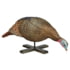 Hunters Specialties Strut Penny Snood Feeder Hen Turkey Decoy, 07603