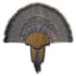 Hunters Specialties Turkey Tail & Beard Mount Kit, HS-STR-00849