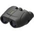 Leupold Rogue 10x25mm Porro Prism Compact Waterproof Binoculars, Black 59225