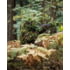 MIL-TEC All Purpose Ghillie, Woodland Camo, One Size, 11969500