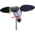 Mojo Baby Drake 2.0 Decoy, Mallard Drake, HW2566