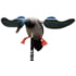 MOJO Baby Mallard Decoy